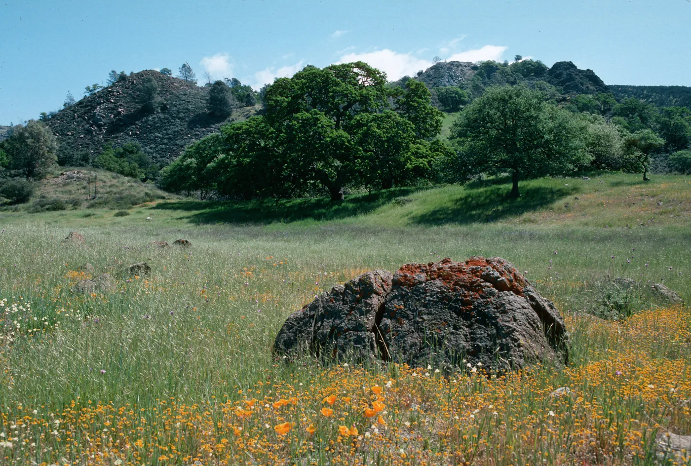 Sedgwick Ranch, Figueroa