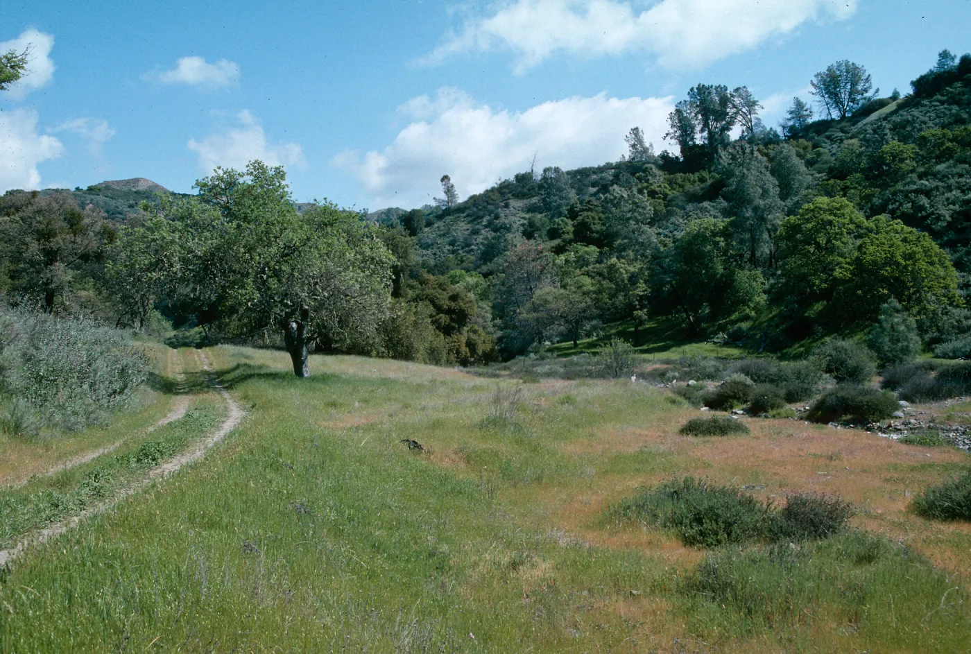 Sedgwick Ranch, Figueroa