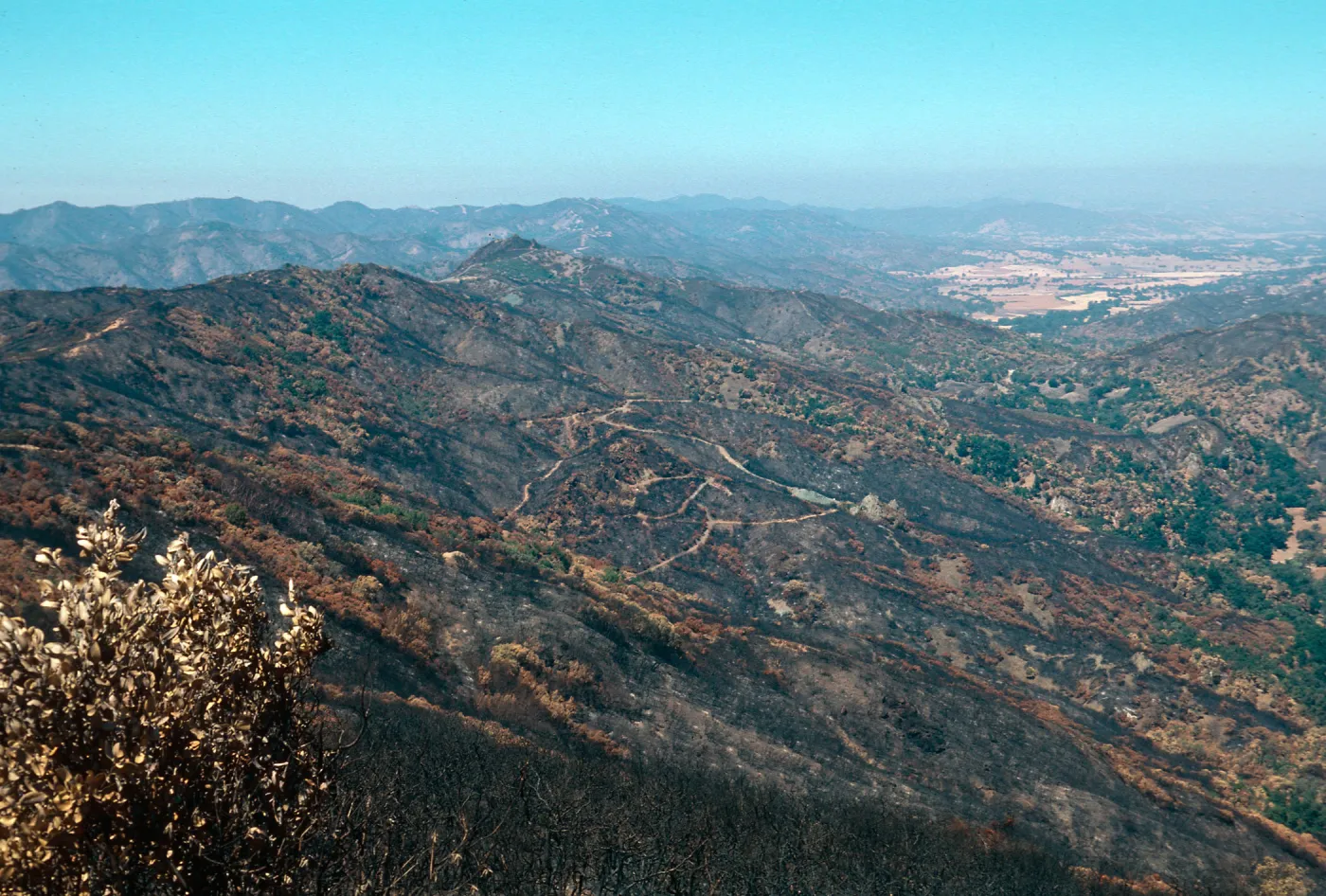 San Luis Obispo