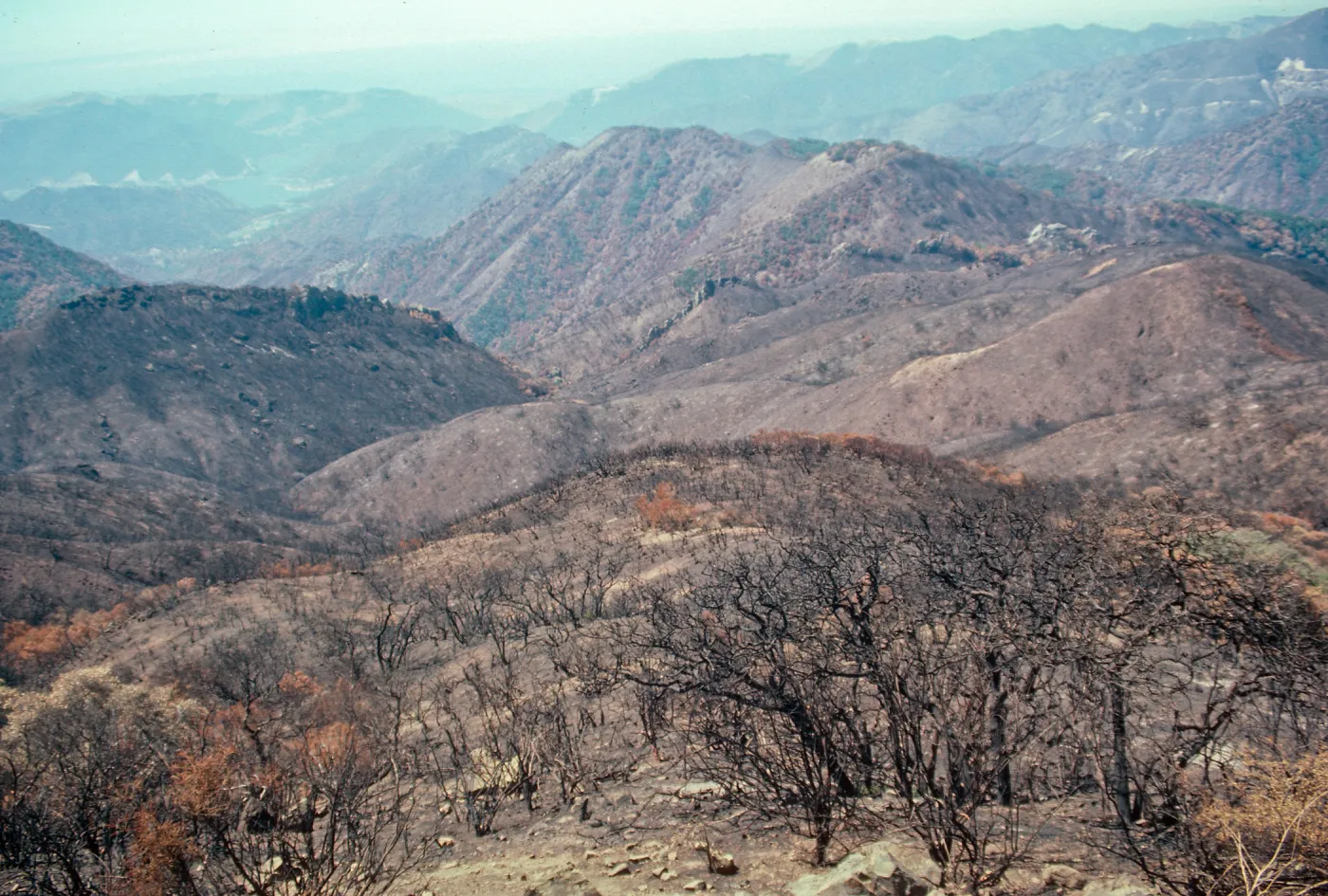 San Luis Obispo
