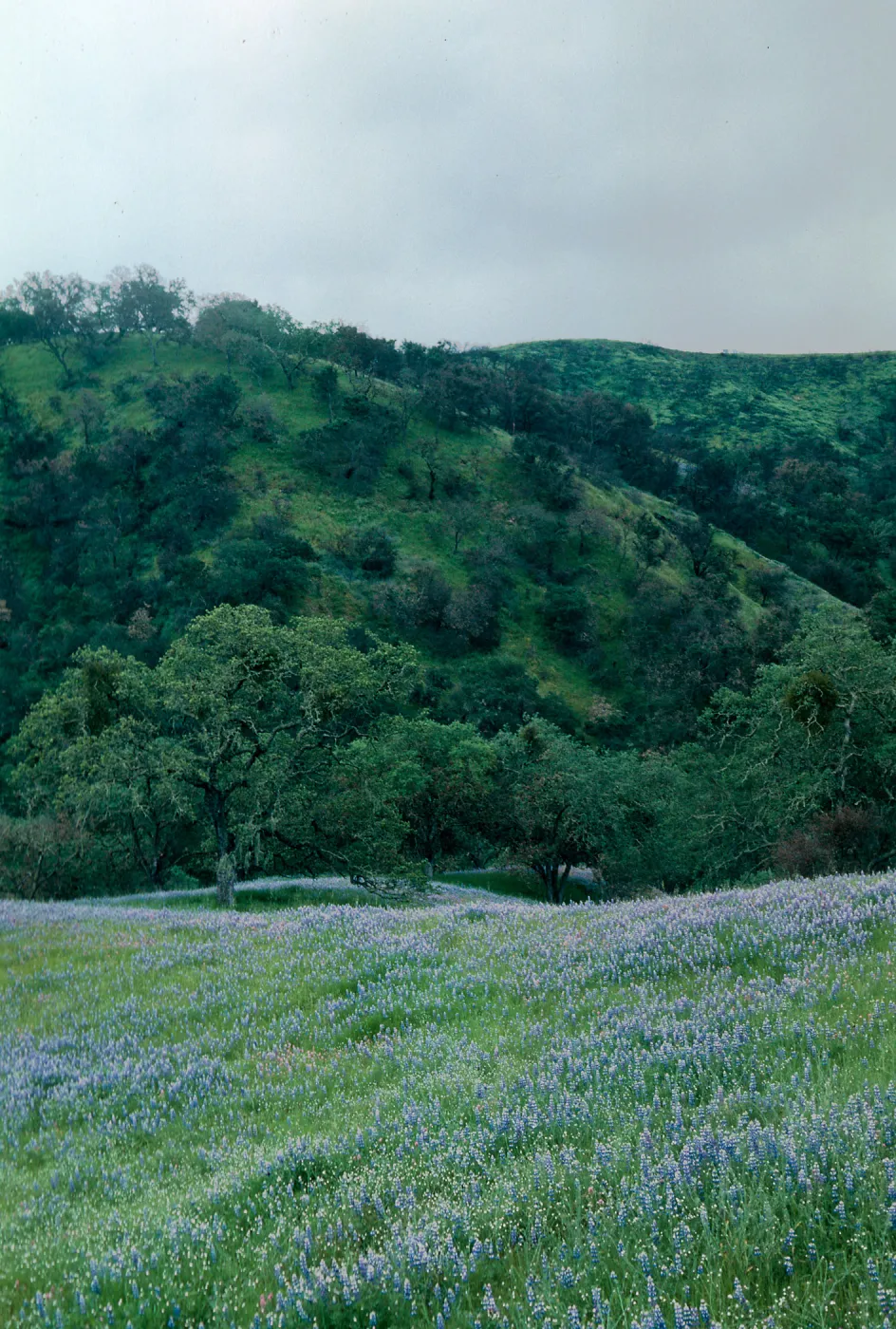 to Hi Mountain
