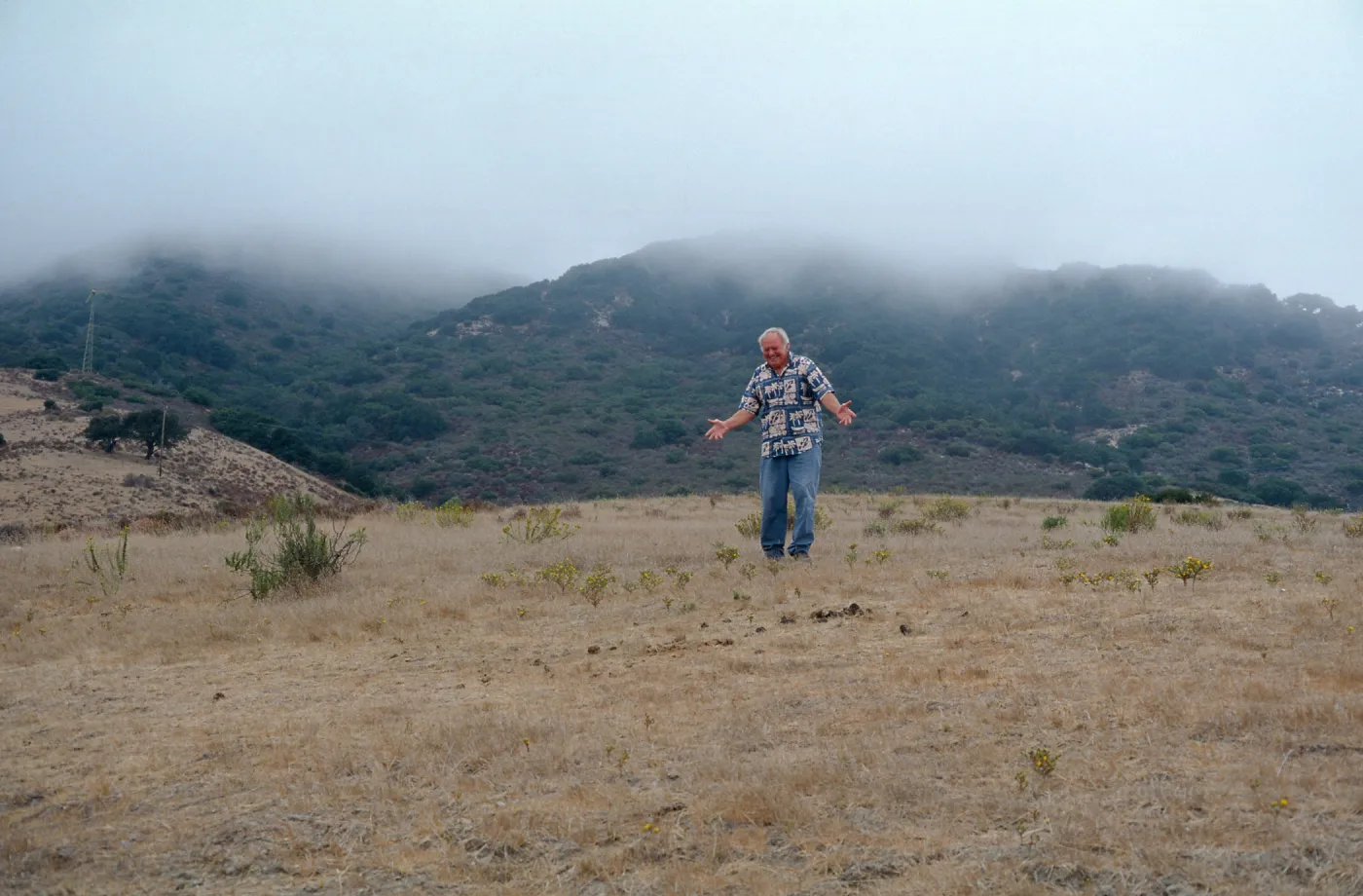 Gaviota Tar Weed, Paul Huebner, Hollister Ranch
