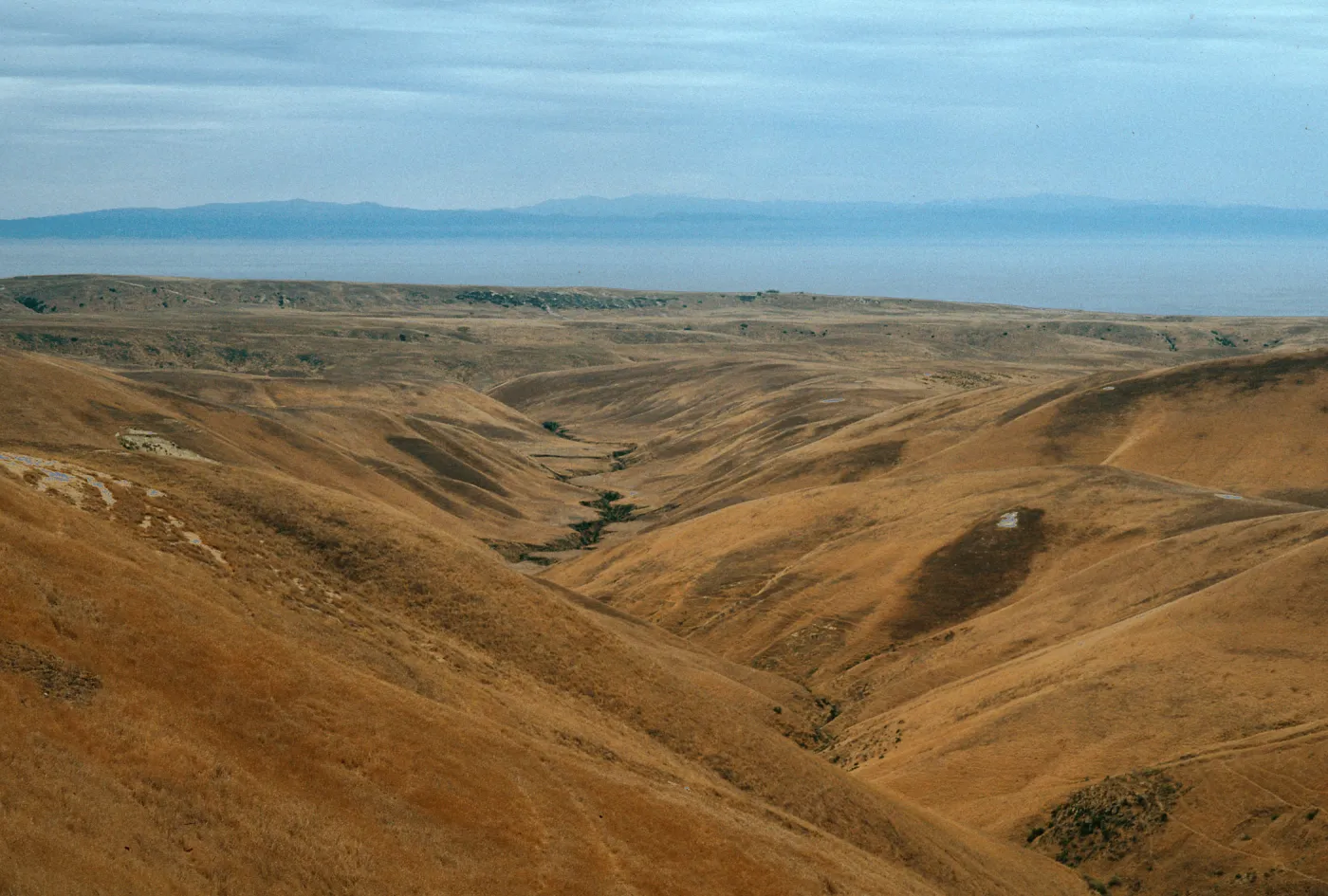 Santa Rosa Island