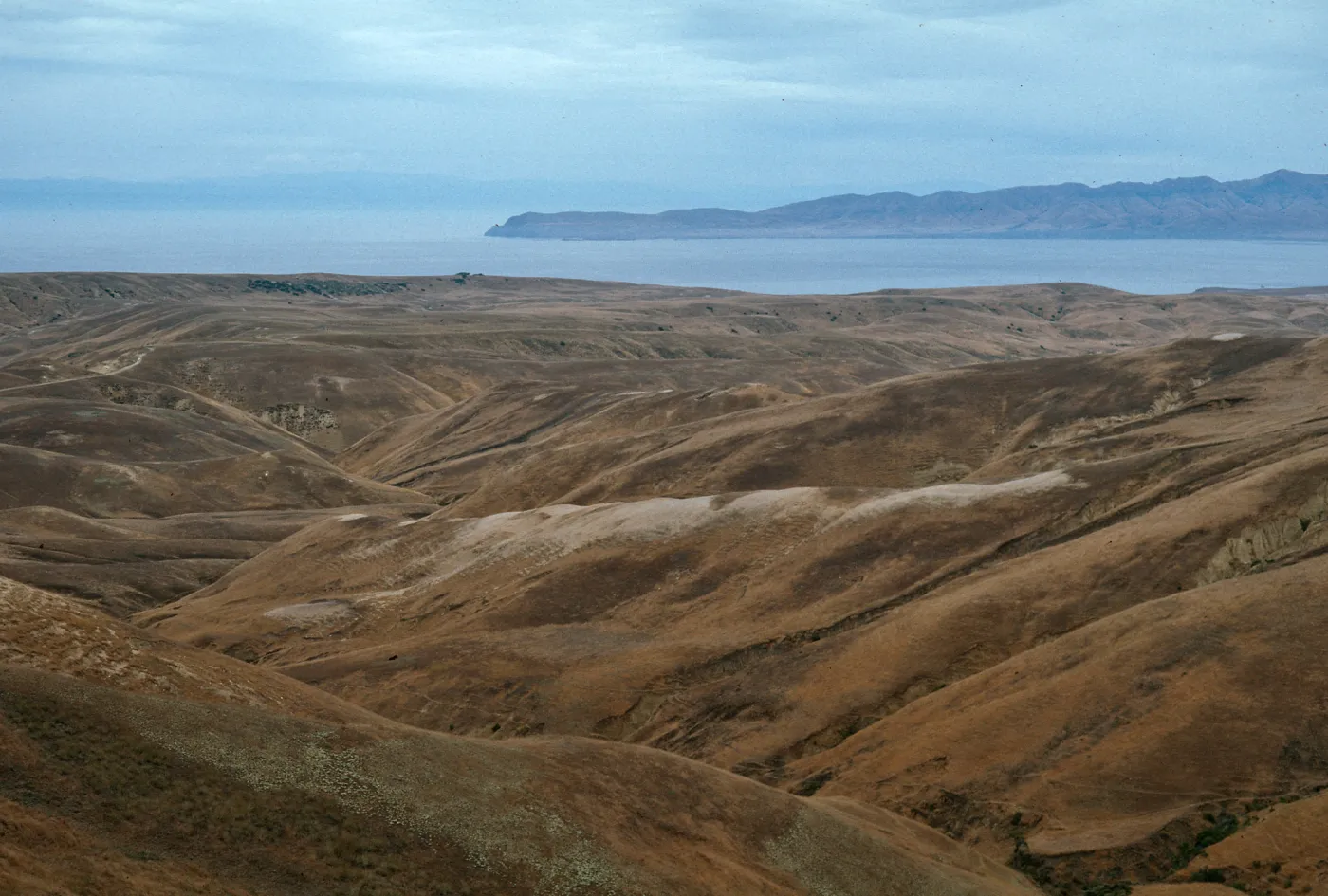 Santa Rosa Island