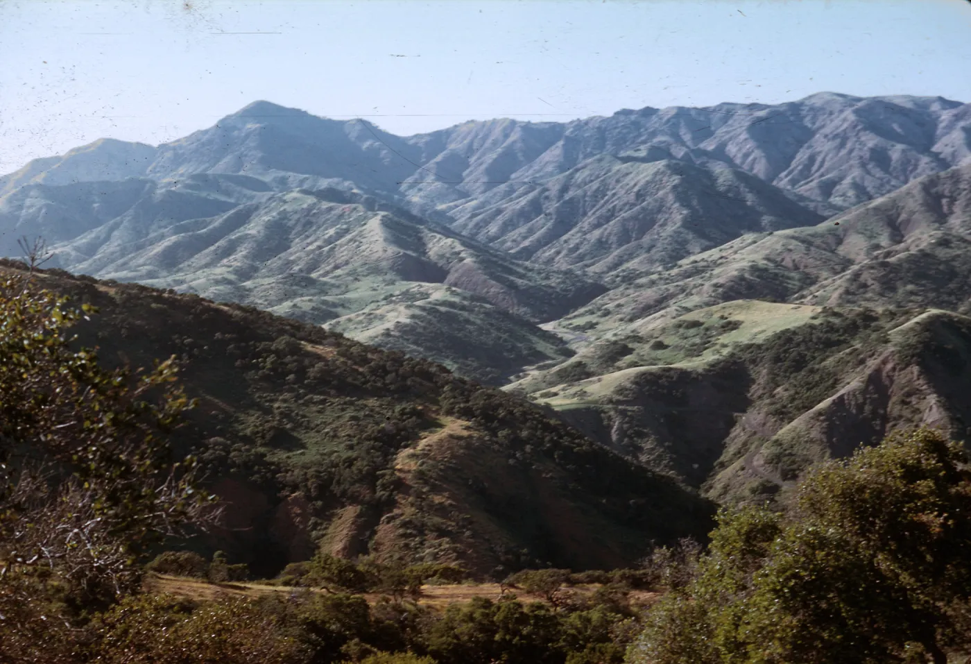 Santa Cruz Island