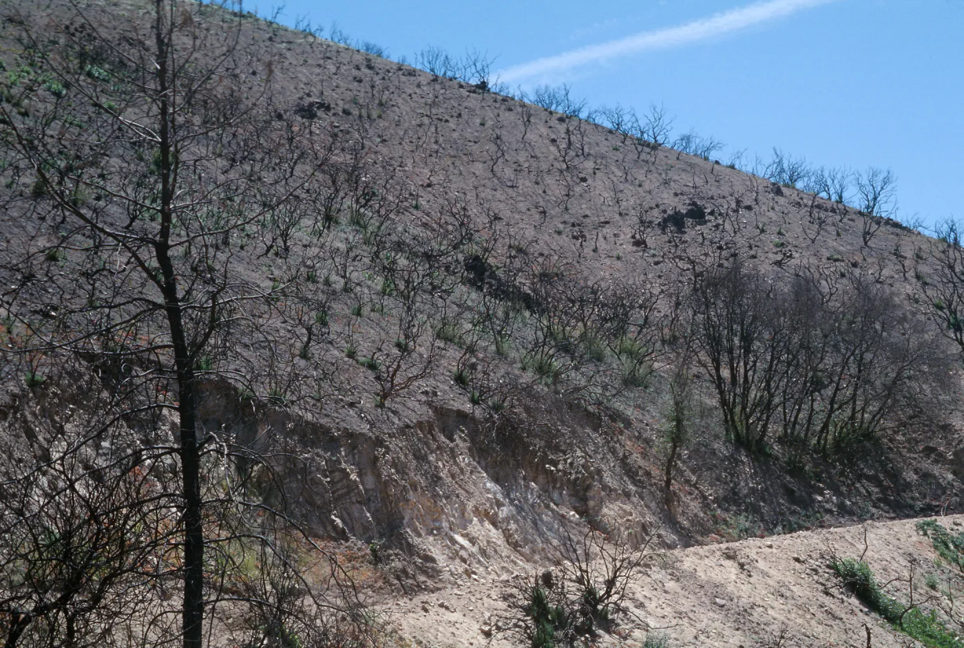 Castle Crags, San Luis Obispo Co