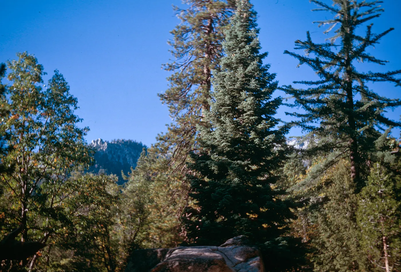Idylwild, California - Sept. 1967, N.W. Baker