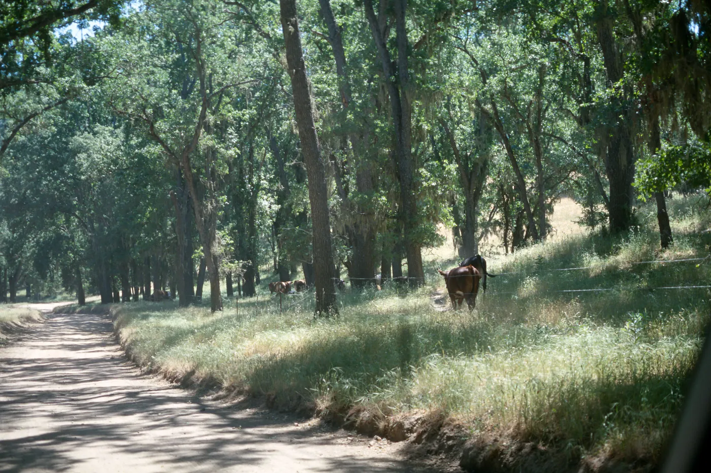 near Pozo