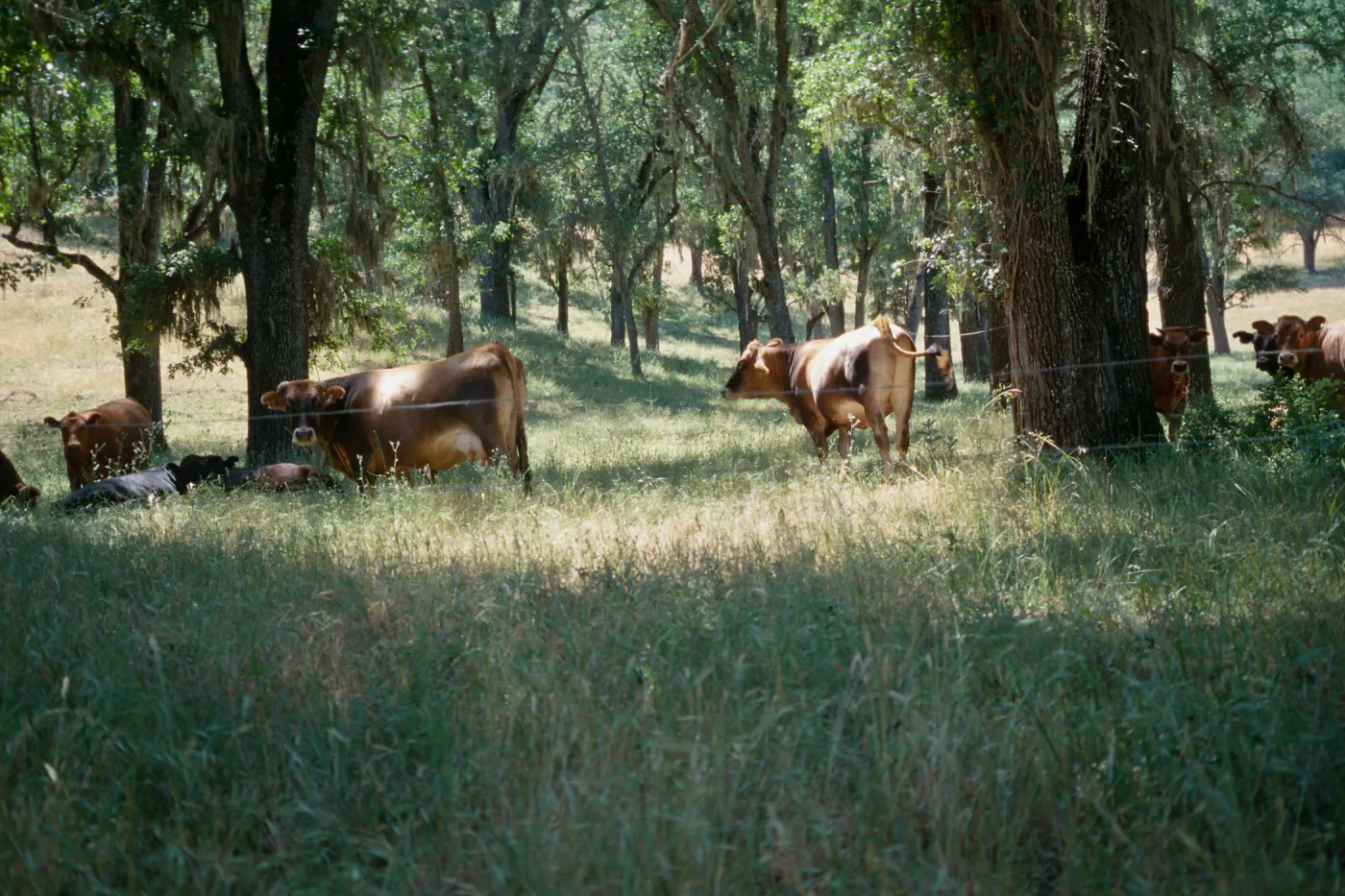 near Pozo