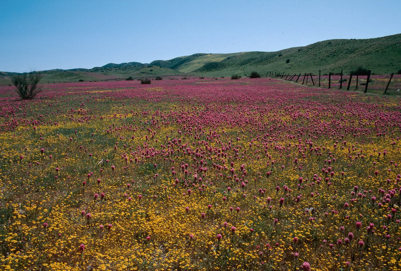 Highway 166 & 33