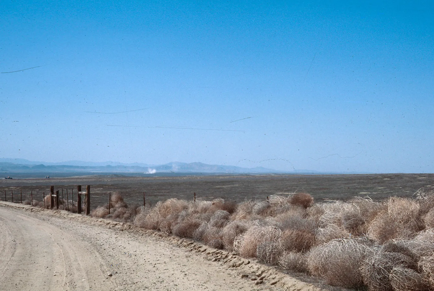 Carrizo Plain
