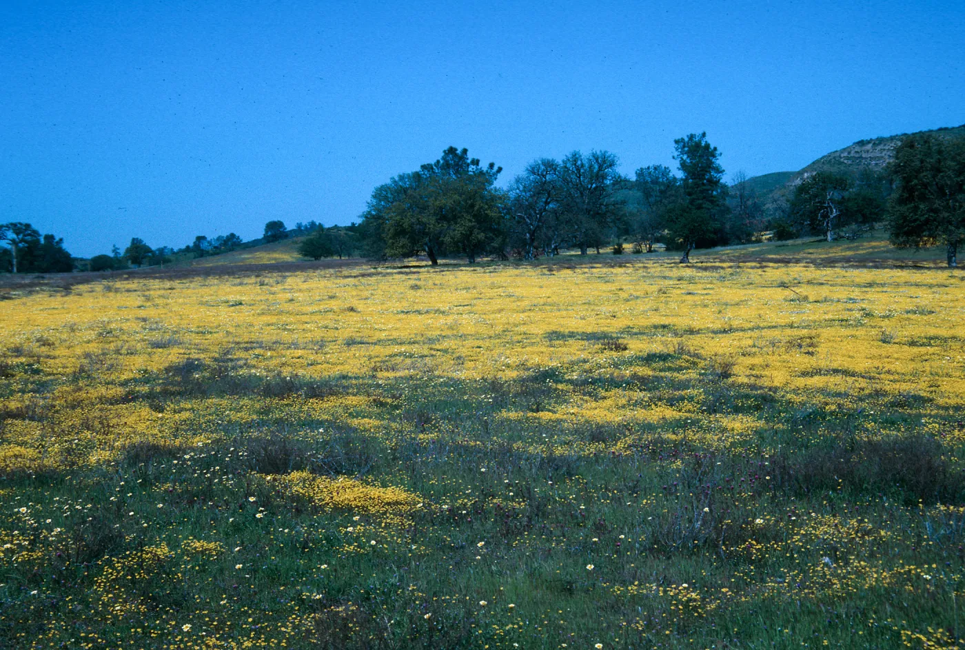 Shell Creek