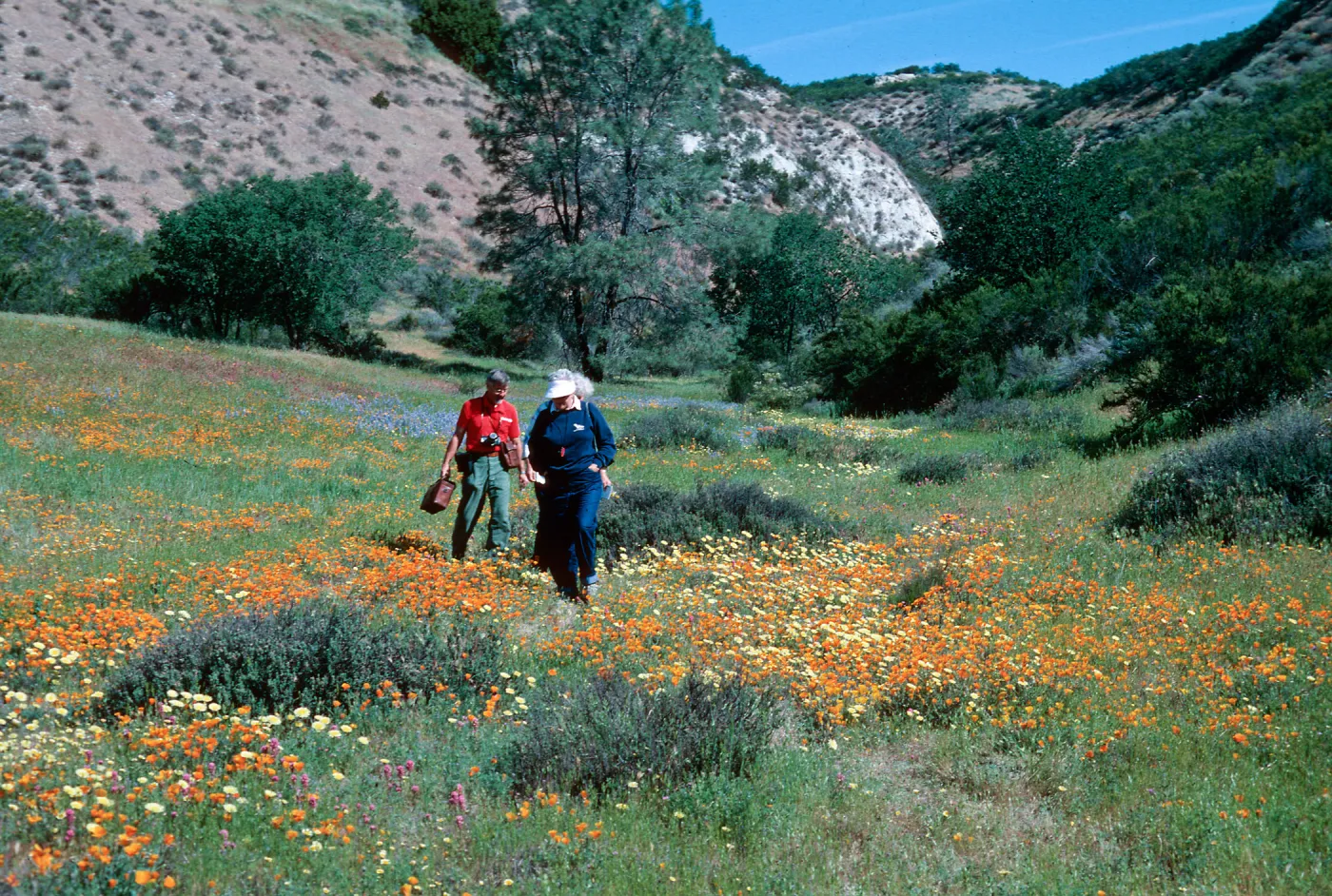 Shell Creek
