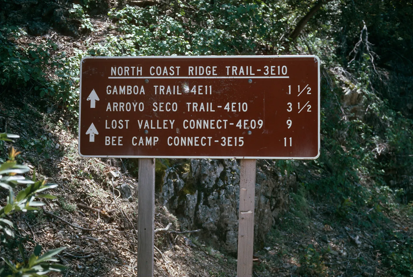 Cone Peak, North Coast Ridge Trail