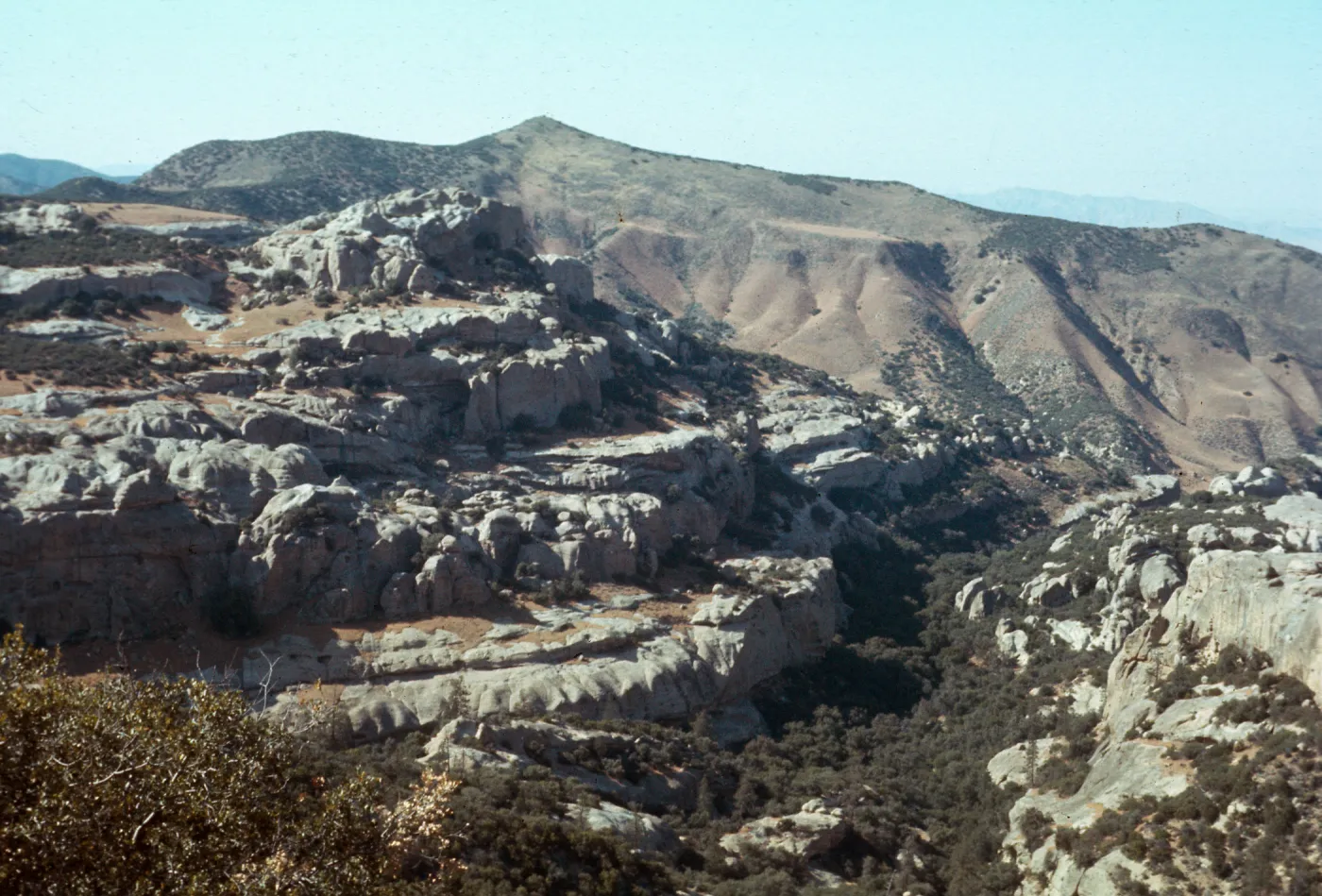 Lion Canyon