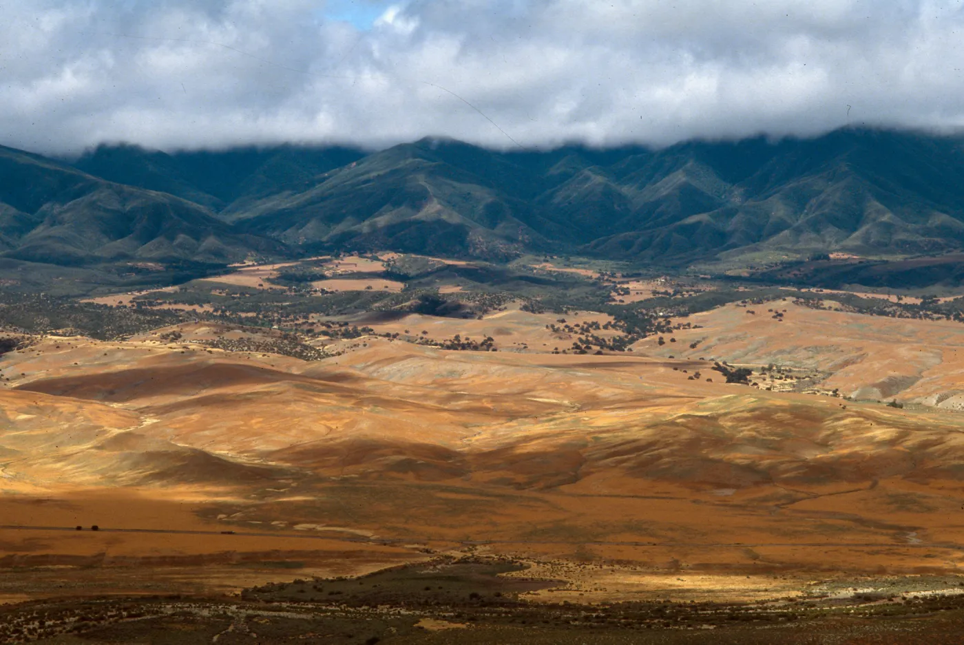 Cuyama Valley