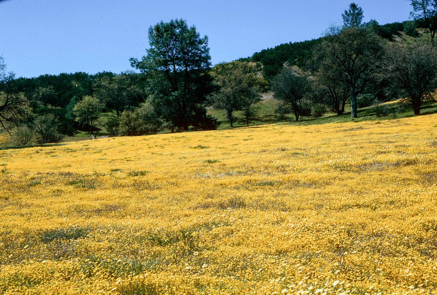 Shell Creek