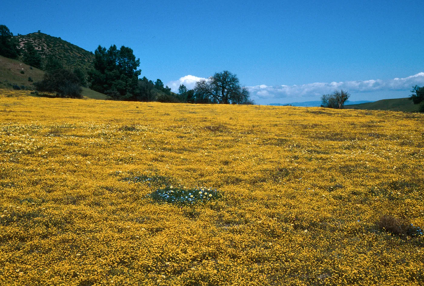 Shell Creek