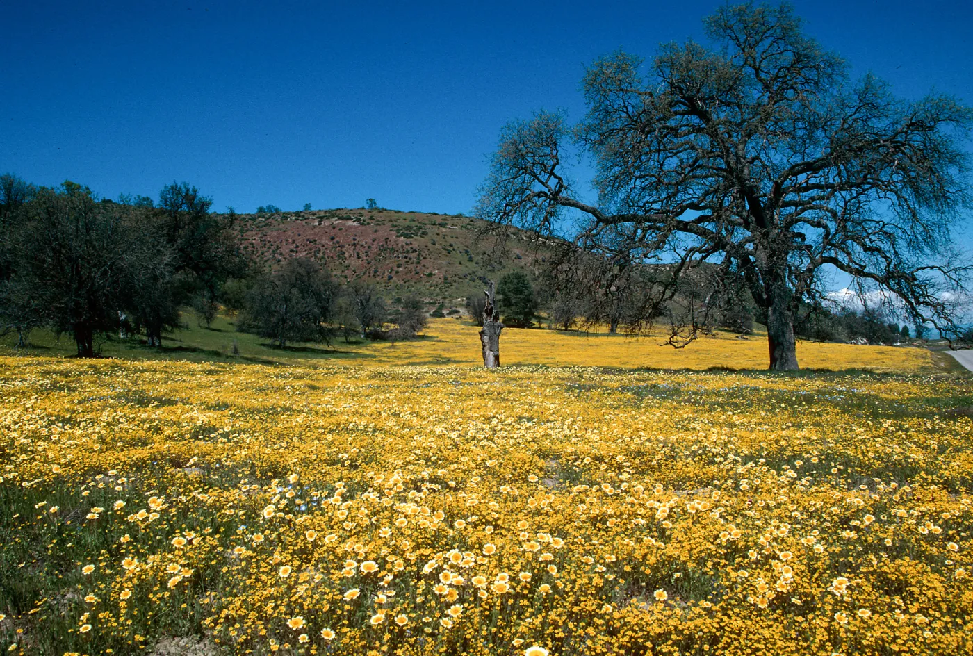 Shell Creek