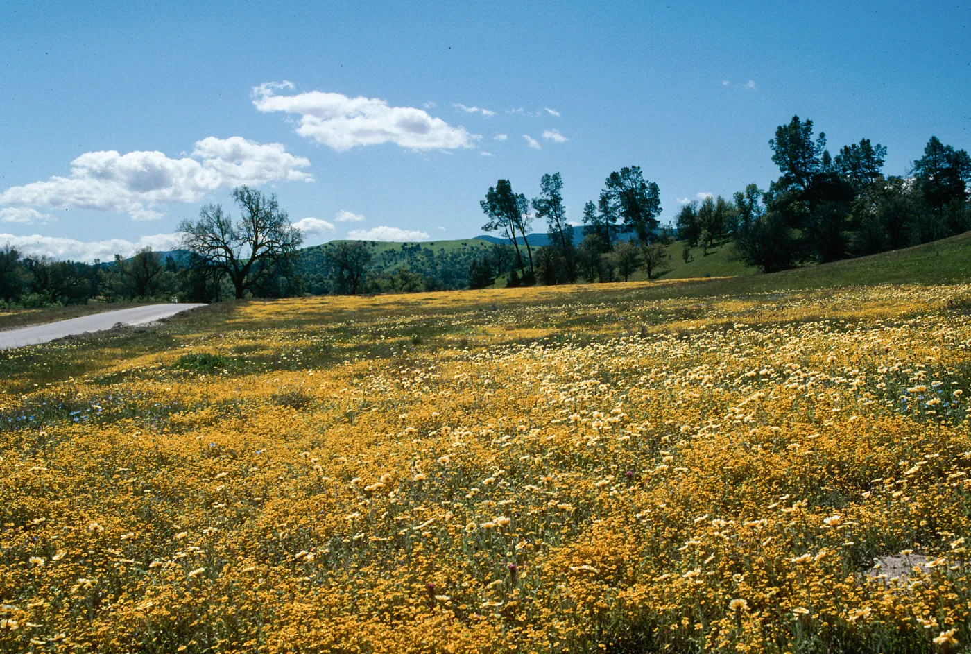 Shell Creek