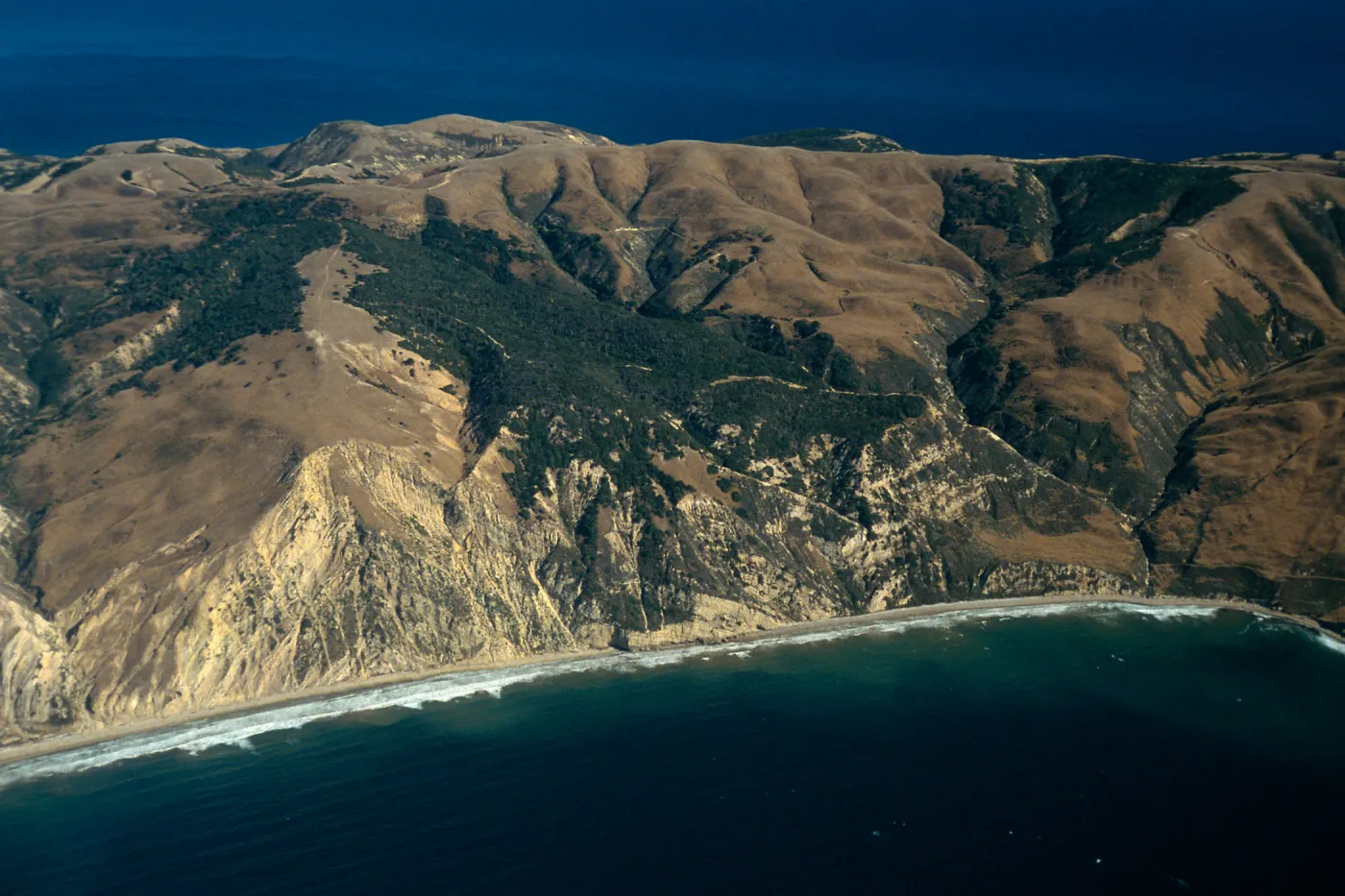 China Pines, Santa Cruz Island