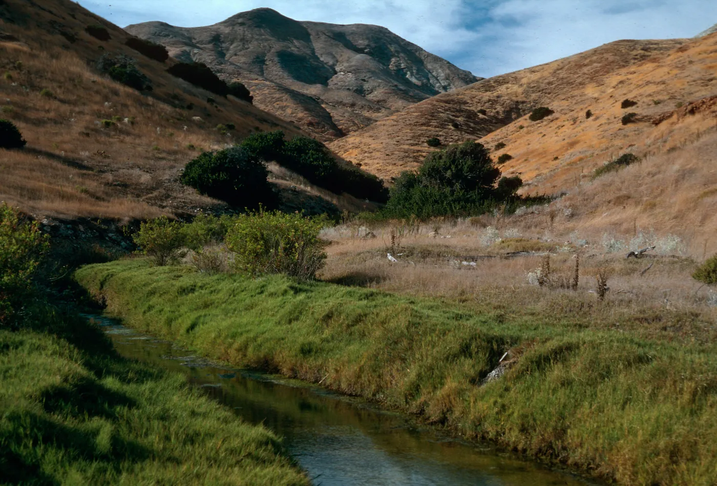 Mouth of CaÃ±ada de Malva Real, Santa Cruz Island