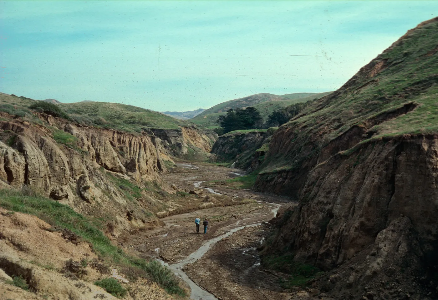 Looking up Sauces Canyon, Santa Cruz Island