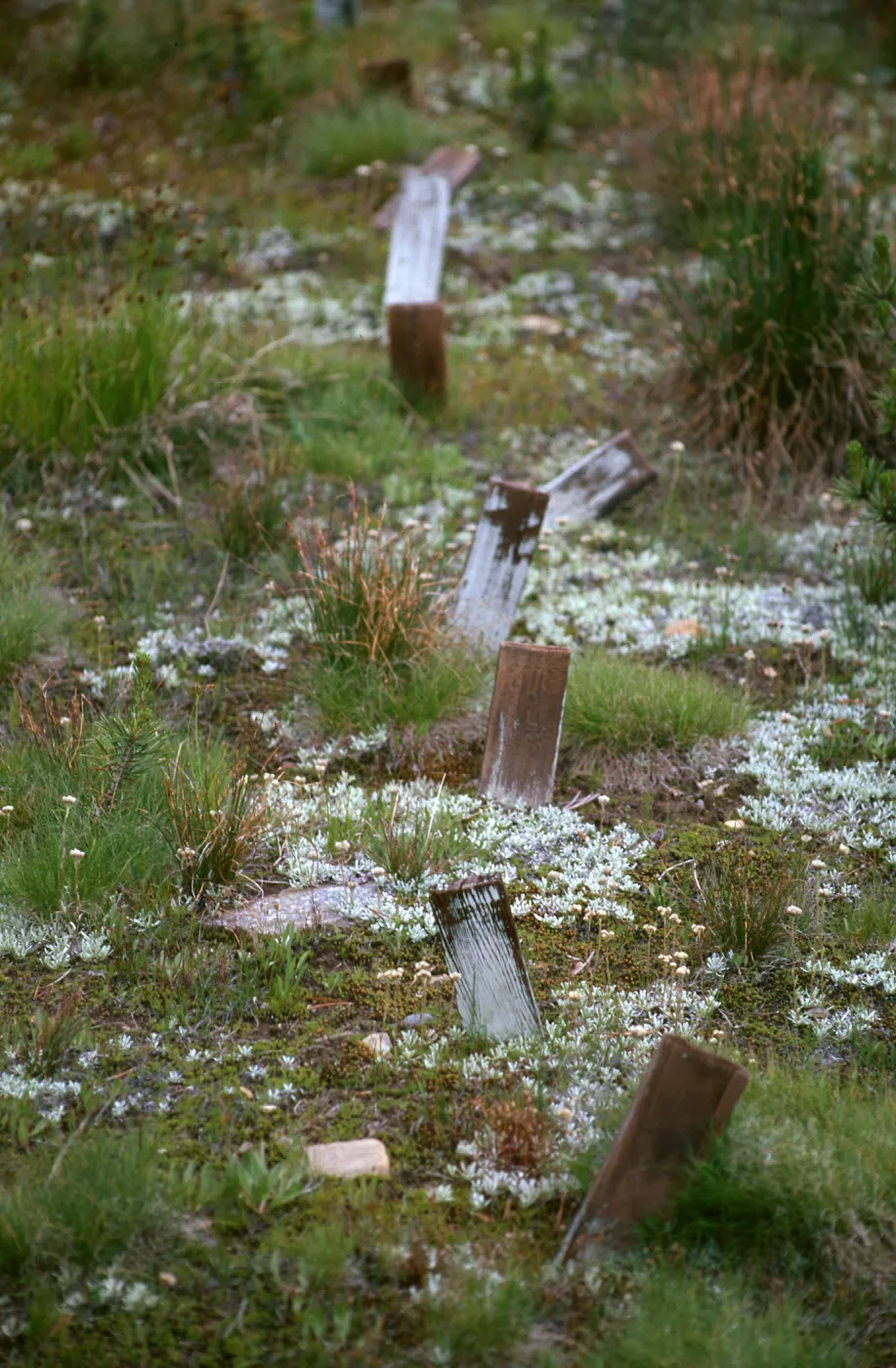 Carnegie, Alpine site, Hall Nat. area
