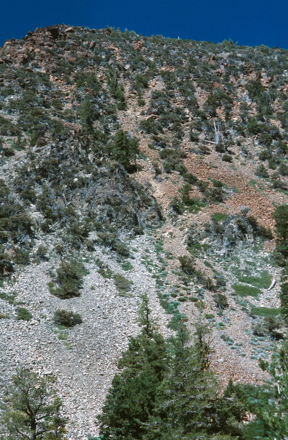 Ultramafic contact, Mt. Eddy