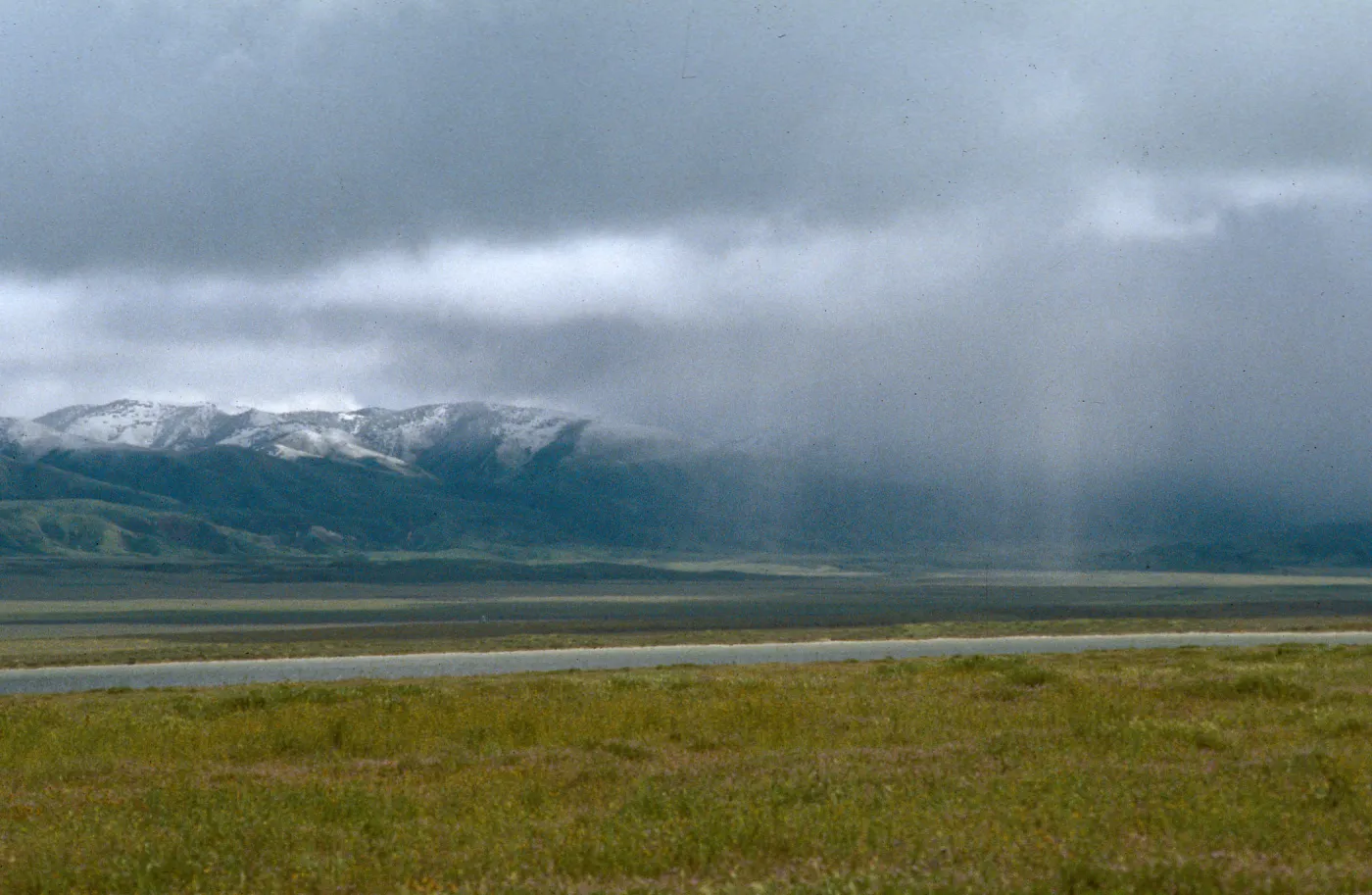 Goodwin Ranch, Carrizo Plains