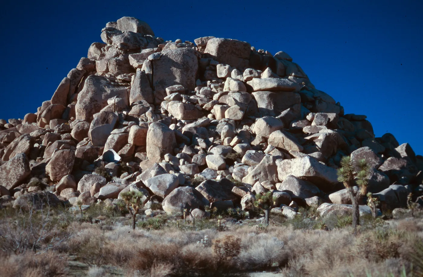 Joshual Tree National Monument