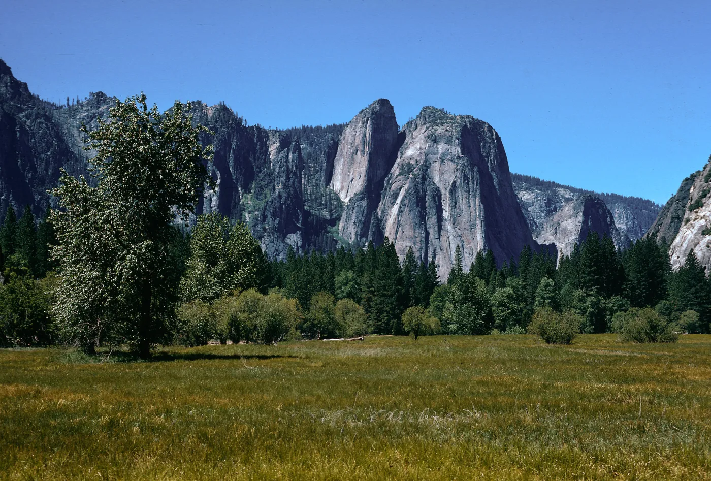 looking West from valley, Yosemite