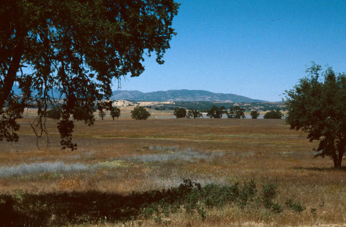 Jolon Valley, Ft. Hunter Liggett