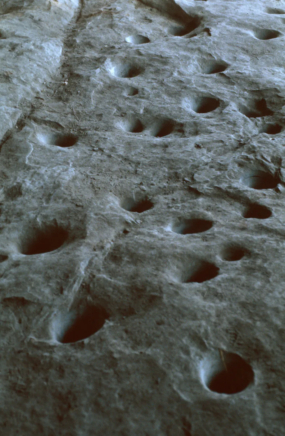 metates, upper San Antonio River Valley, Santa Lucia Mountains