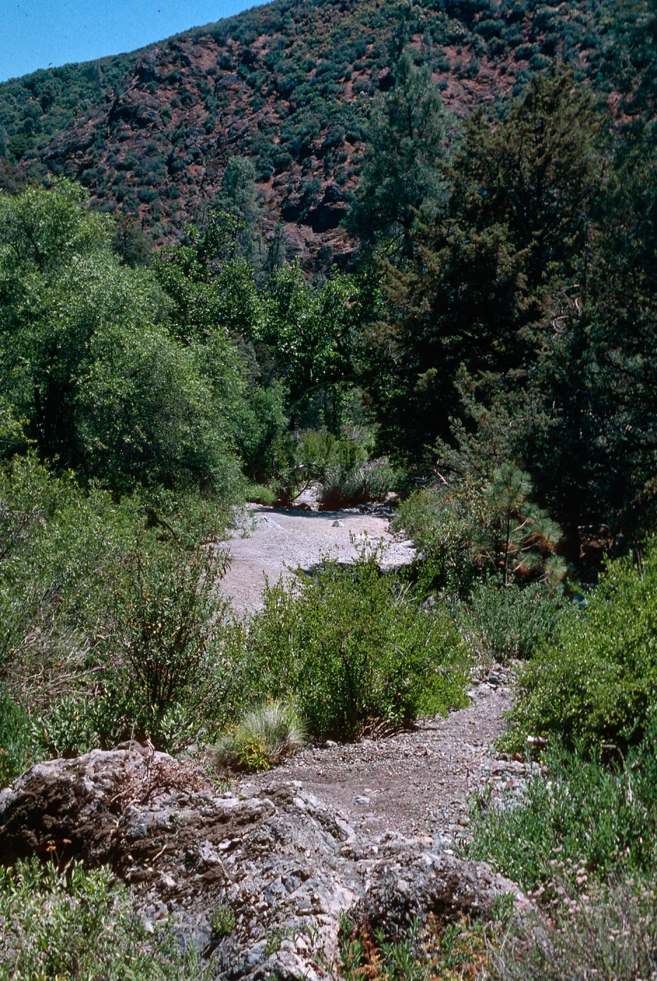 Los Burros Creek, serpentine, Ft. Hunter Liggett