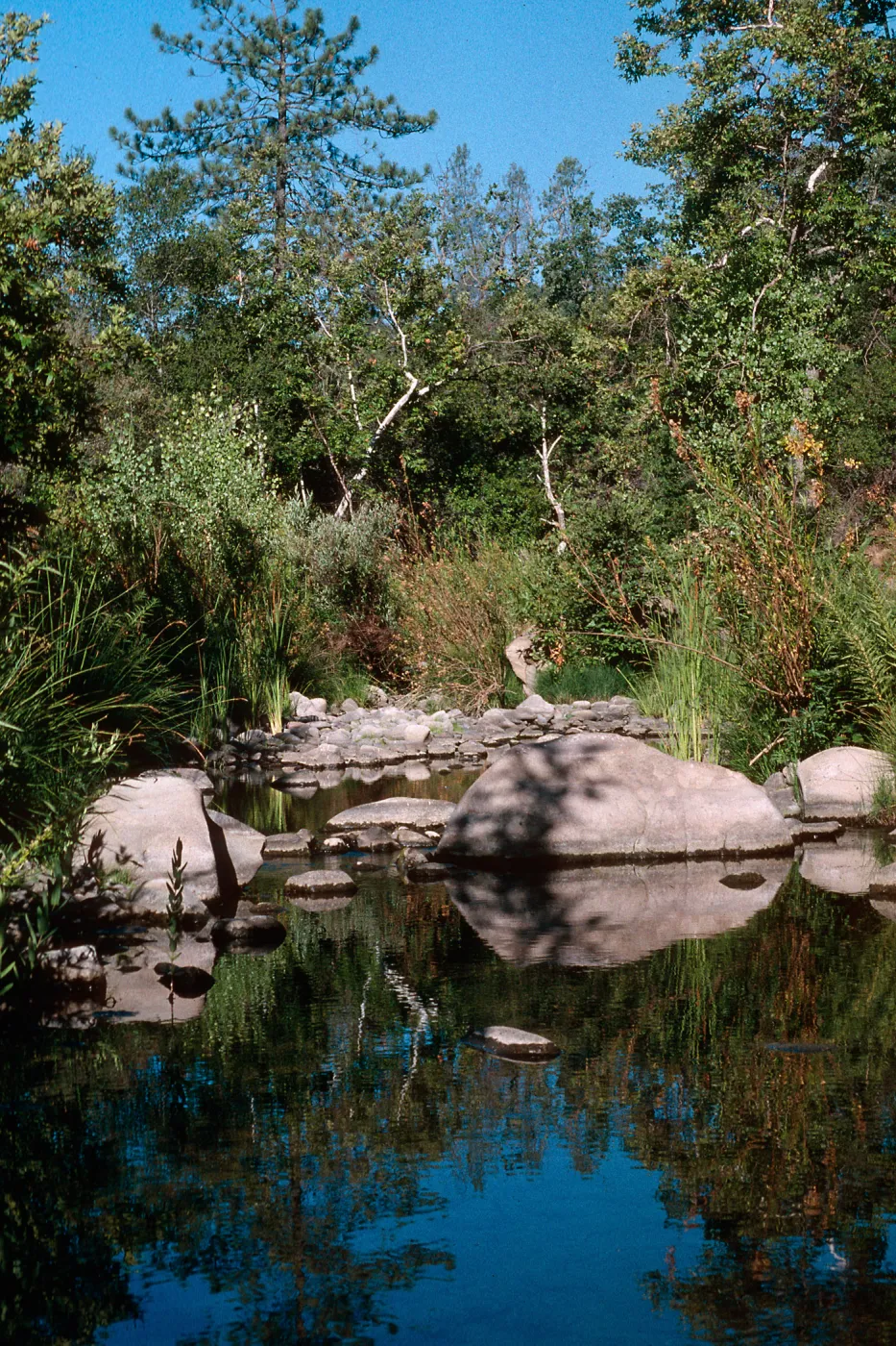 San Miguel Creek, Ft. Hunter-Liggett