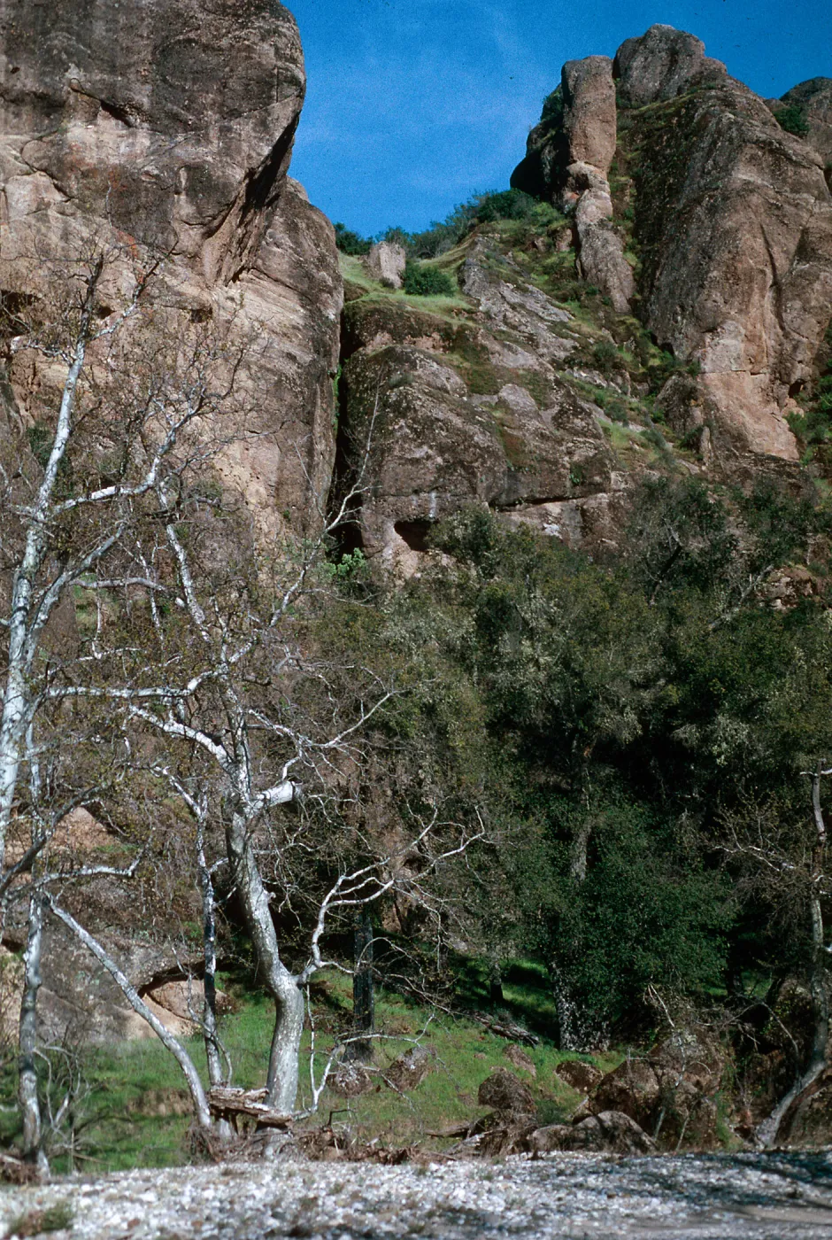 site of Portola Trail, September 18-21, 1769, Palisades, Nacmiento River, Hunter-Liggett, April,1996