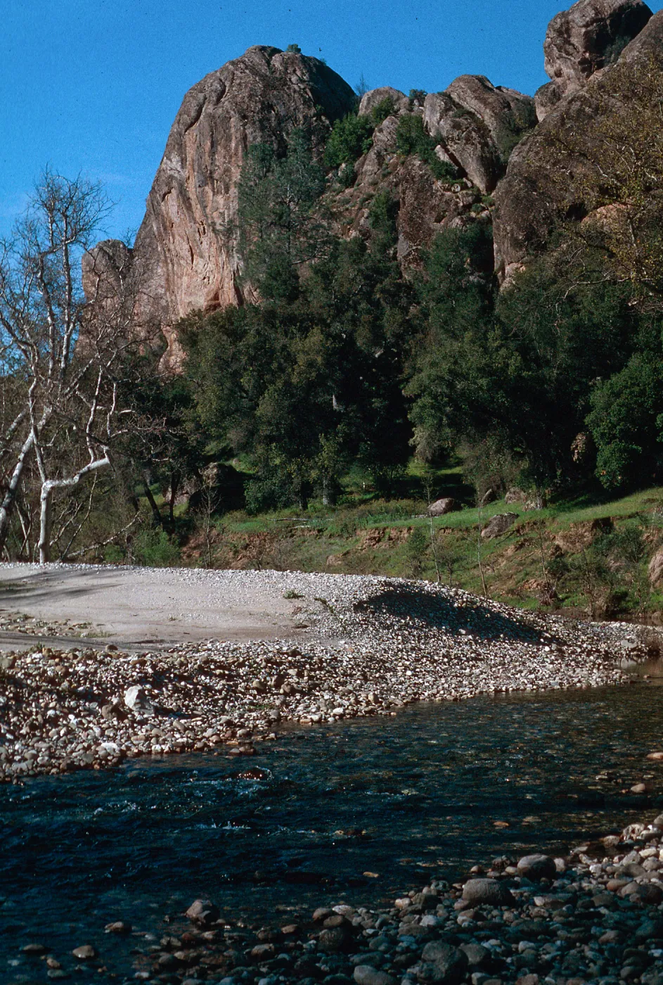Palisades, Hunter-Liggett, April, 1996