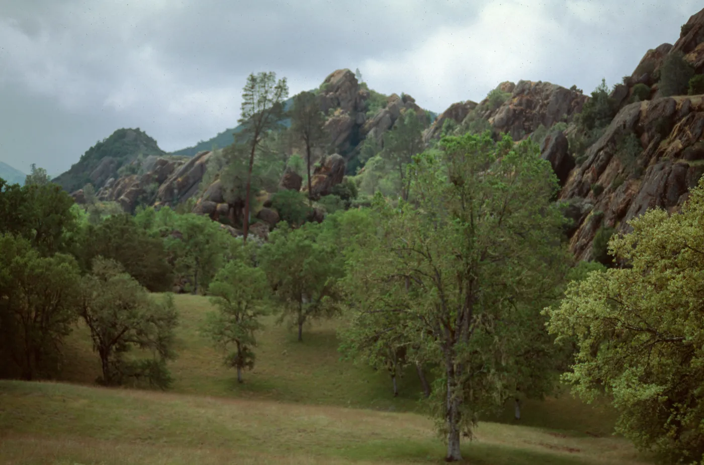 The Palisades near Nacimiento River, Ft. Hunter-Liggett