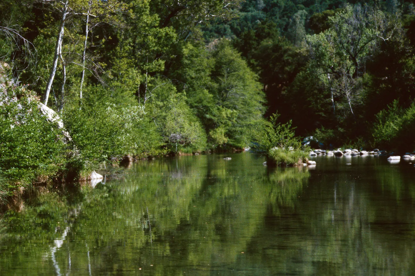 San Antonio River, Ft. Hunter-Liggett