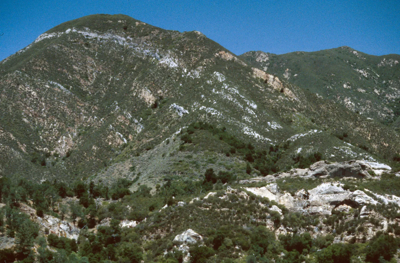 Chaparral, Junipero Serra ridge, Santa Lucia Mountains