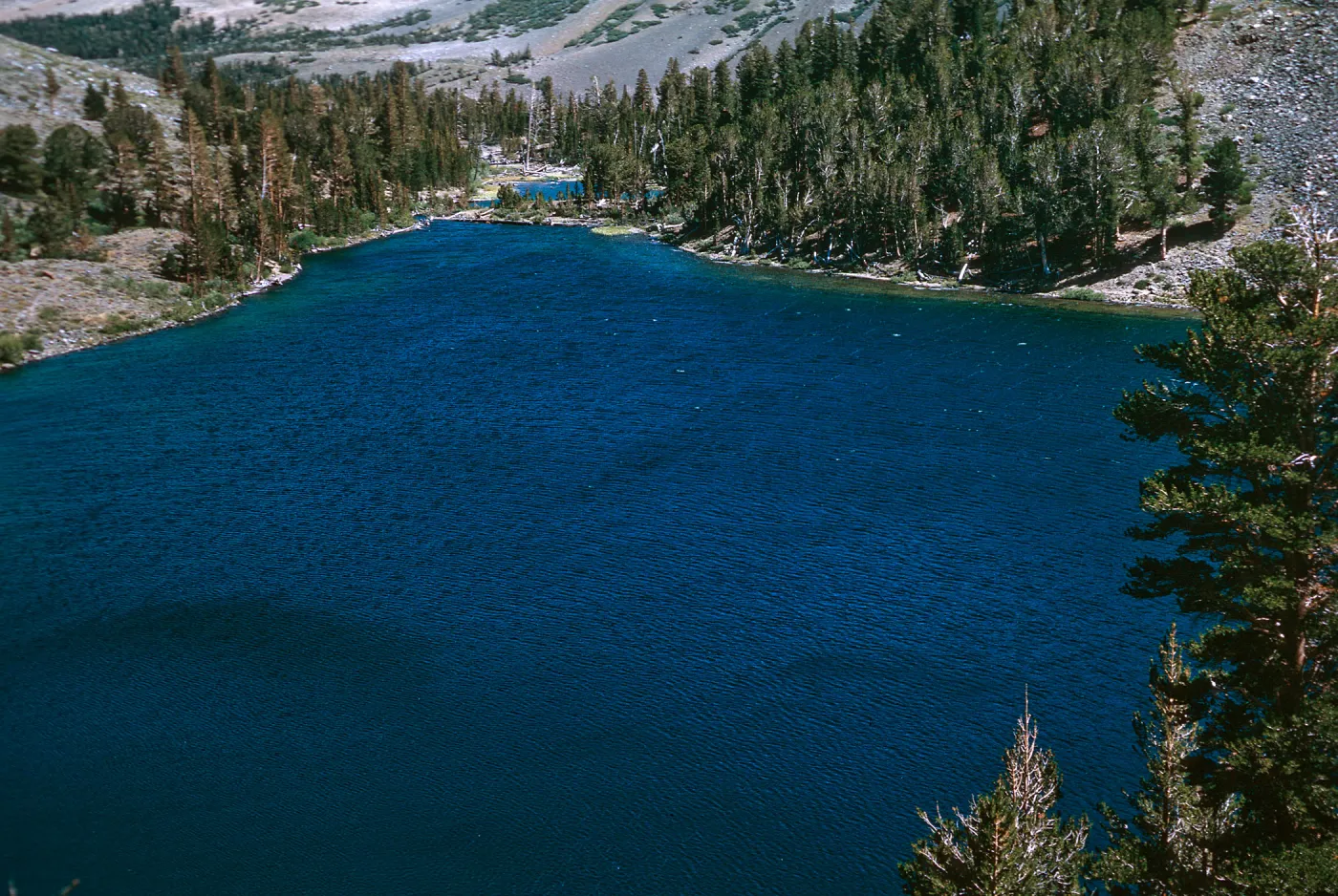 Virginia Lake, KKM, August, 1966