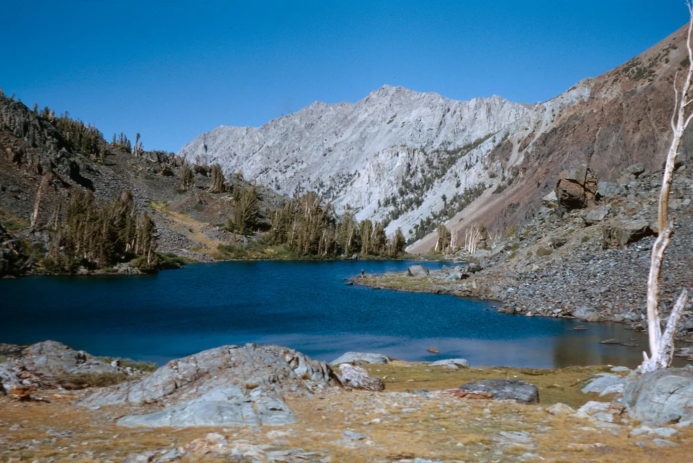 lower Hoover Lake, 9900 ft, CHMuller fishing on point, Mono County, 9/27/1966