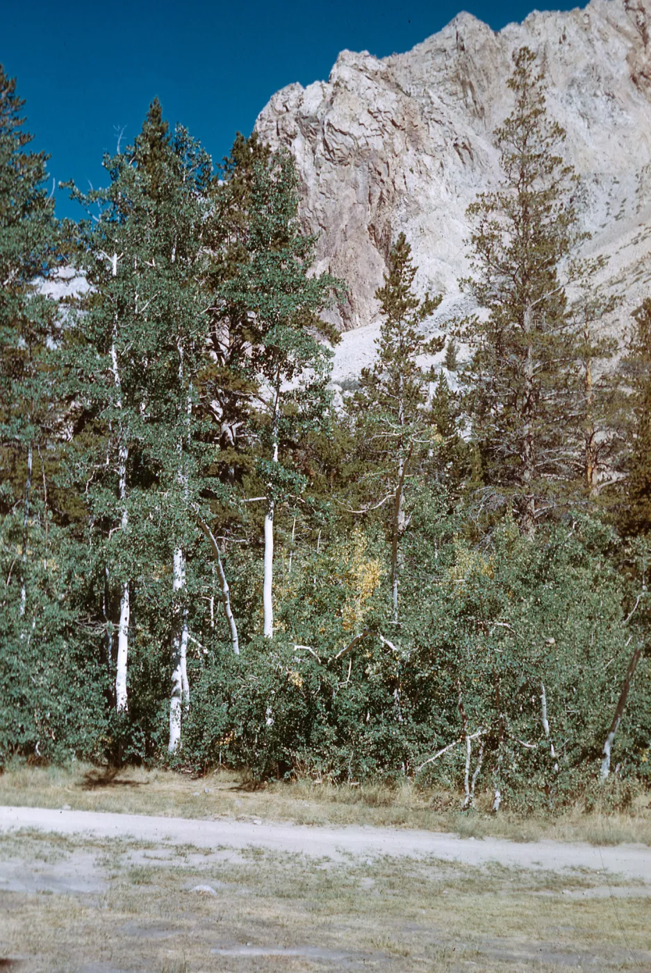 trail from North Lake, Piute Pass