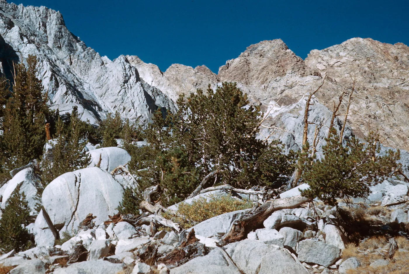 trail to Piute Pass