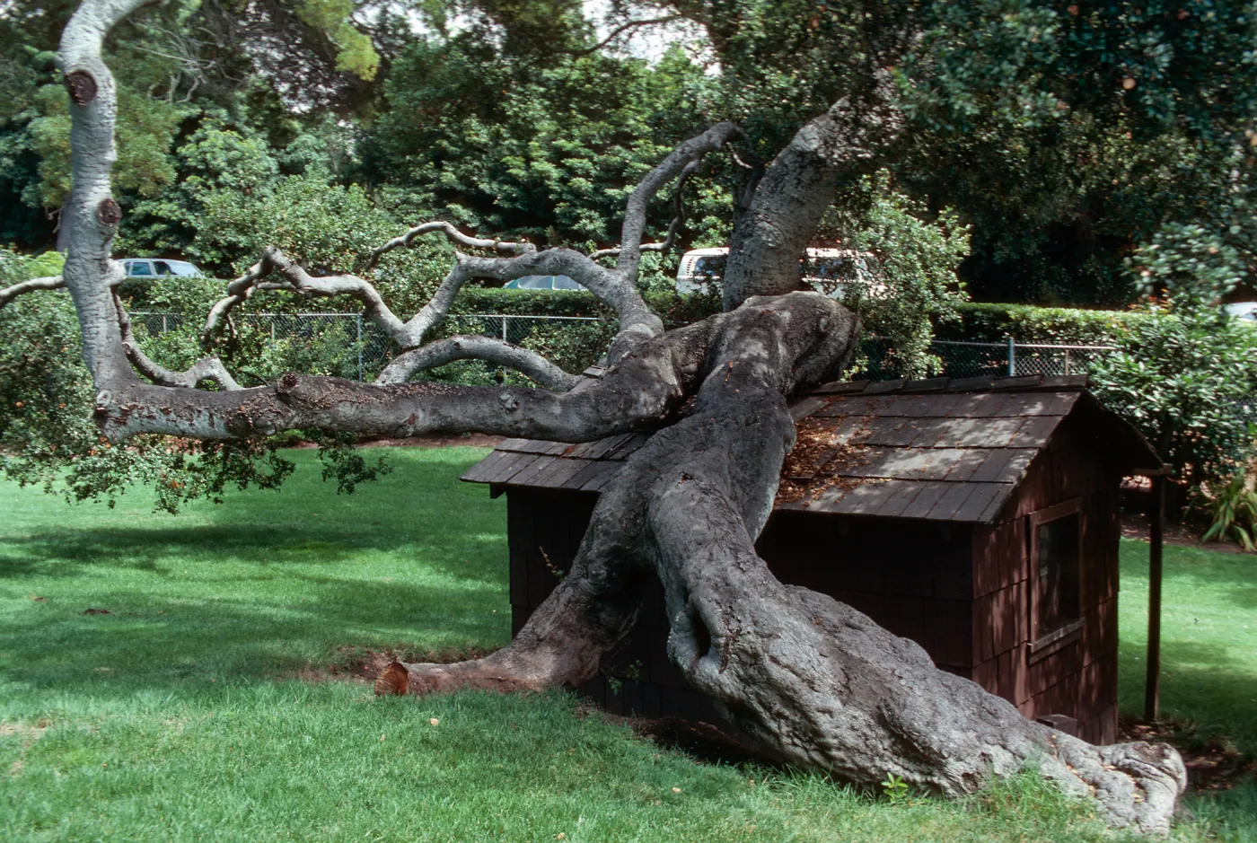 â€œLas Terrasasâ€, Chase - Hope Ranch