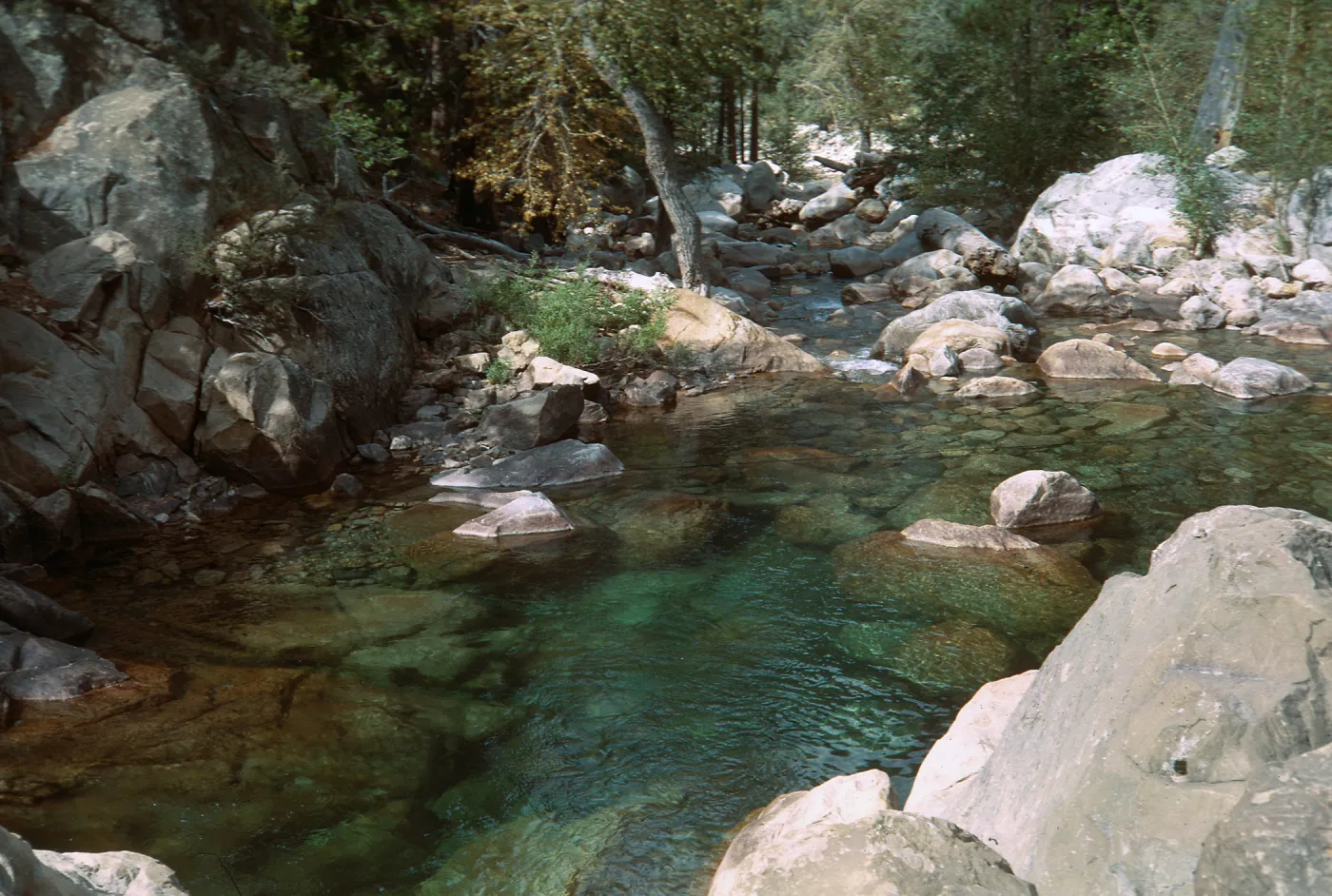 Tuttle Creek, King's Canyon, Garden bus trip