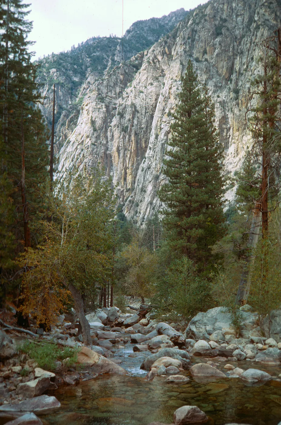 Tuttle Creek, King's Canyon, Garden bus trip