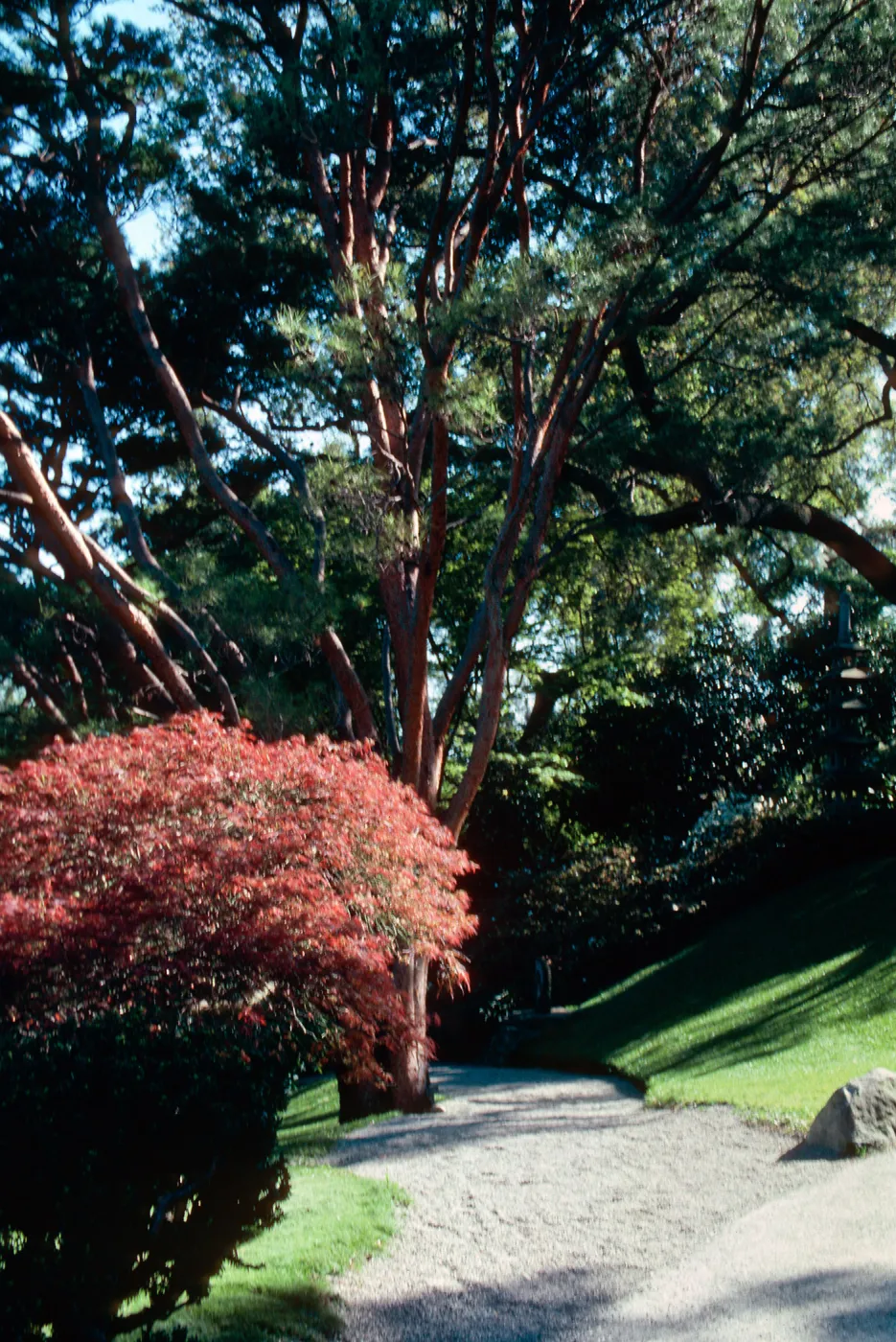 Huntington Gardens above Japanese Garden