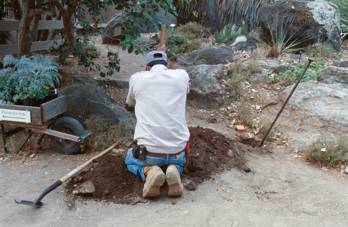 workers, SBBG
